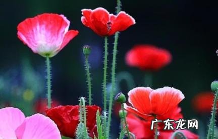 最吸引人打招呼的句子 最吸引人打招呼的句子微信聊天