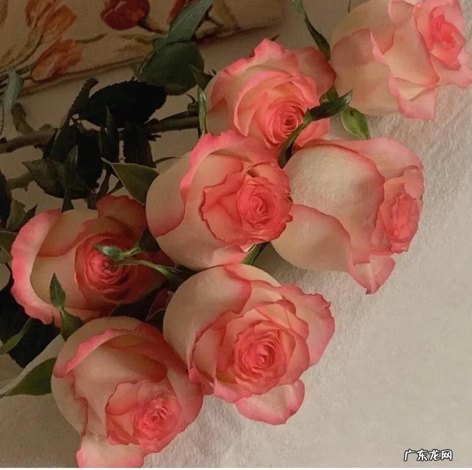 如何使用微博挣钱 如何发微博赚钱