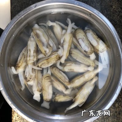 爆炒蛏子的做法窍门 爆炒蛏子做法