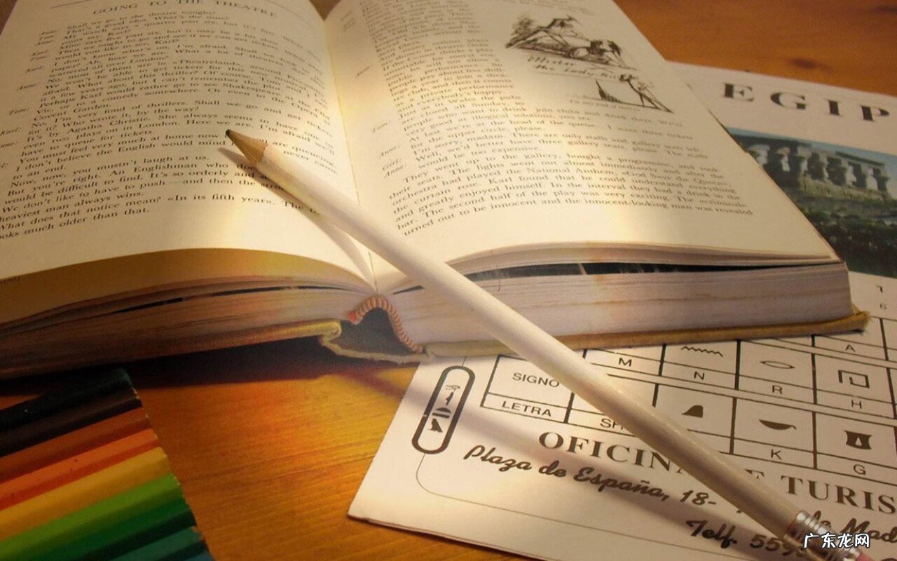 考研黄皮书那个老师 考研黄皮书是什么意思