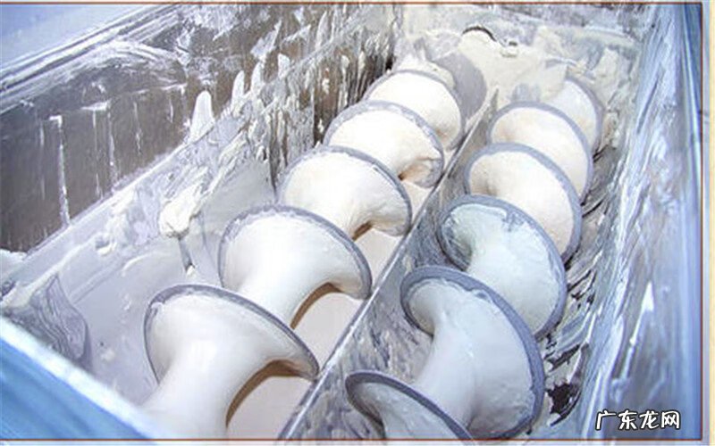 开厂做什么项目好 办厂好项目有哪些