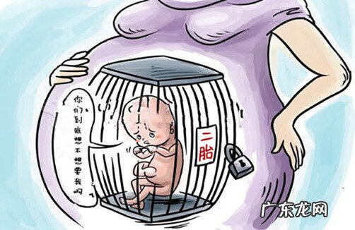 浙江省二胎开放是哪一年 浙江单独二胎细则