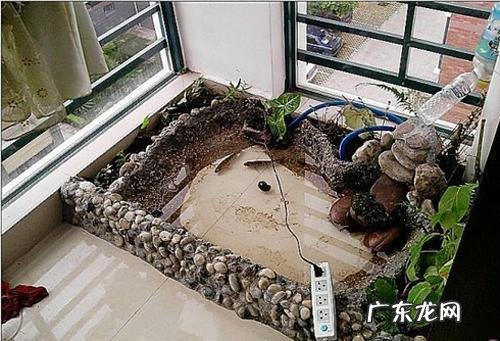 鹅卵石使用风水 鹅卵石的风水