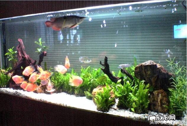 风水学桃花位在哪里 风水学漏水桃花