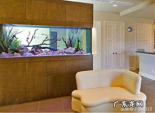 风水学桃花位在哪里 风水学漏水桃花