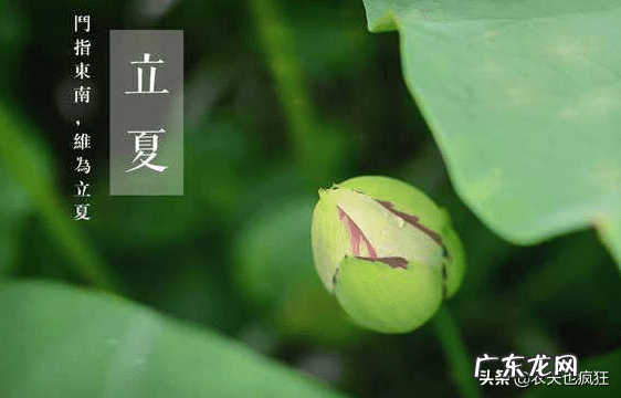 蛇出洞 什么蛇出洞