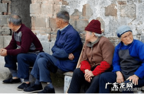 蛇出洞 什么蛇出洞