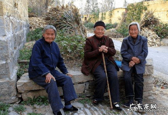 蛇出洞 什么蛇出洞