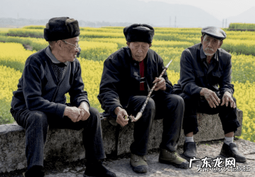 蛇出洞 什么蛇出洞