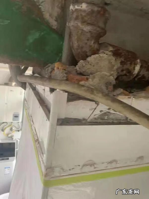 榕树气生根的作用 榕树树根钻进墙壁会破坏风水