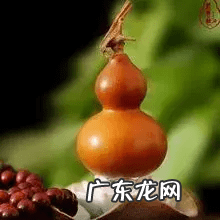 葫芦去皮后留下的疤痕 葫芦有疤痕对风水有影响吗