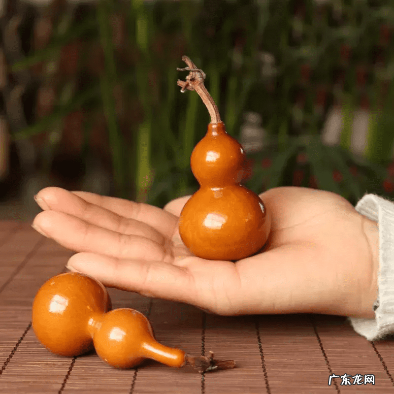 葫芦去皮后留下的疤痕 葫芦有疤痕对风水有影响吗