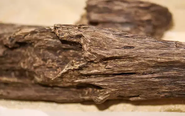 门口风水摆件 装藏风水摆件有哪些