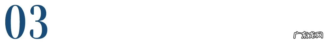 宠物用品代理怎么做