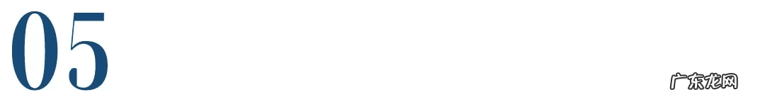 宠物用品代理怎么做