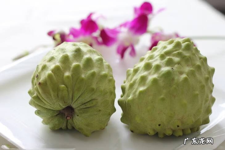 释迦功效和作用及禁忌 释迦果的功效与禁忌果