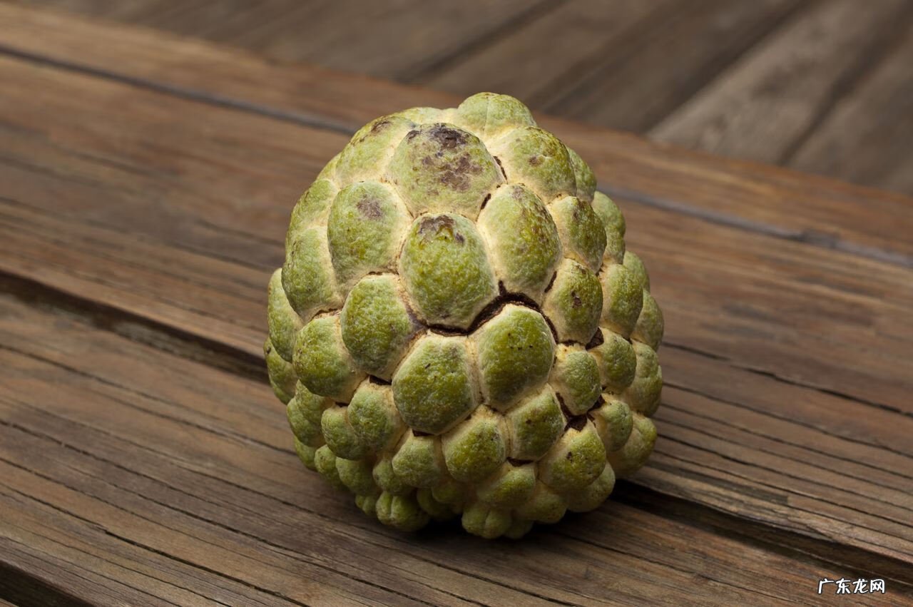 释迦功效和作用及禁忌 释迦果的功效与禁忌果