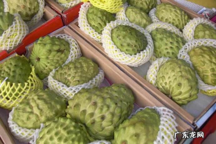 释迦功效和作用及禁忌 释迦果的功效与禁忌果