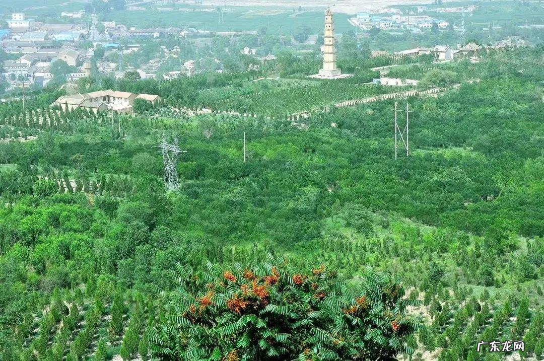 陇西文峰旅游景点