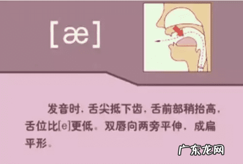 音标的发音规律是什么 音标发音规则详解