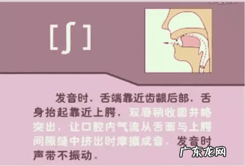 音标的发音规律是什么 音标发音规则详解