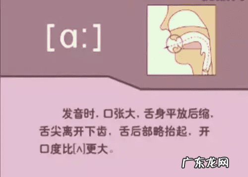 音标的发音规律是什么 音标发音规则详解
