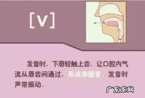 音标的发音规律是什么 音标发音规则详解