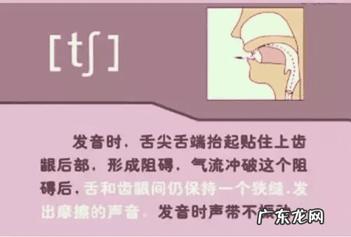 音标的发音规律是什么 音标发音规则详解