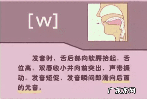 音标的发音规律是什么 音标发音规则详解