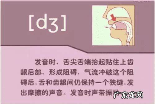 音标的发音规律是什么 音标发音规则详解