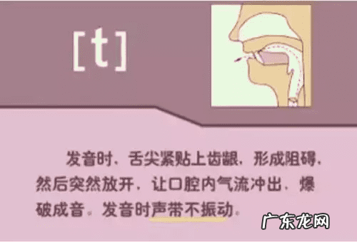 音标的发音规律是什么 音标发音规则详解