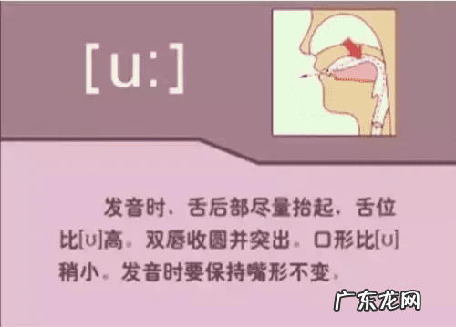 音标的发音规律是什么 音标发音规则详解