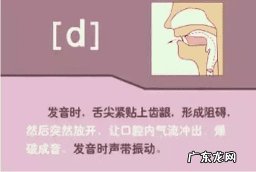 音标的发音规律是什么 音标发音规则详解