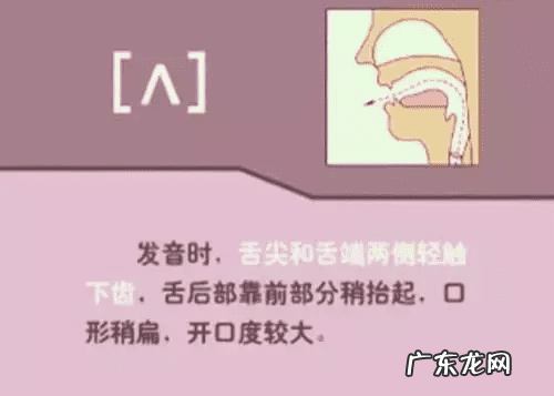 音标的发音规律是什么 音标发音规则详解