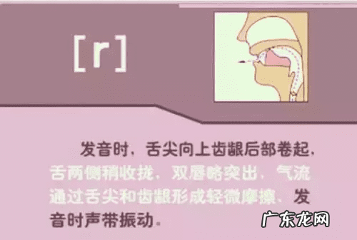 音标的发音规律是什么 音标发音规则详解