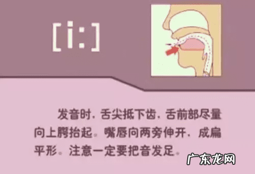 音标的发音规律是什么 音标发音规则详解