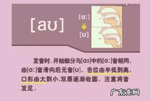 音标的发音规律是什么 音标发音规则详解