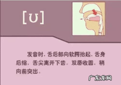 音标的发音规律是什么 音标发音规则详解