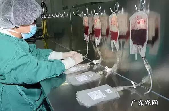 储存脐带血有必要吗