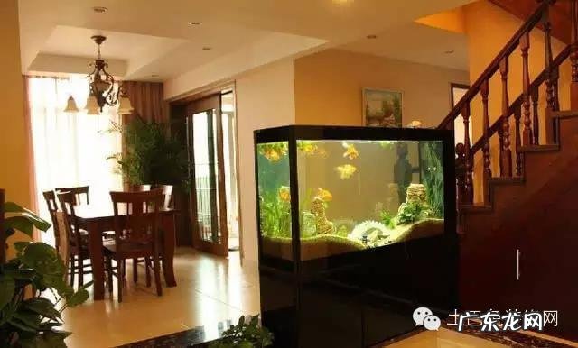 转运发财水族箱 鱼缸转运吗