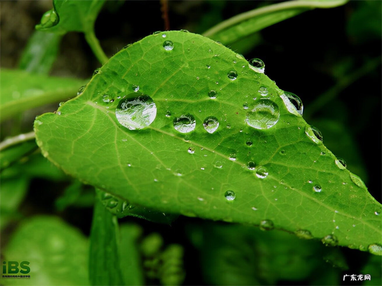 秋天英文怎么写 秋天的英文怎么写