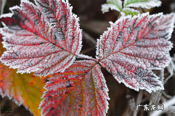 秋天英文怎么写 秋天的英文怎么写