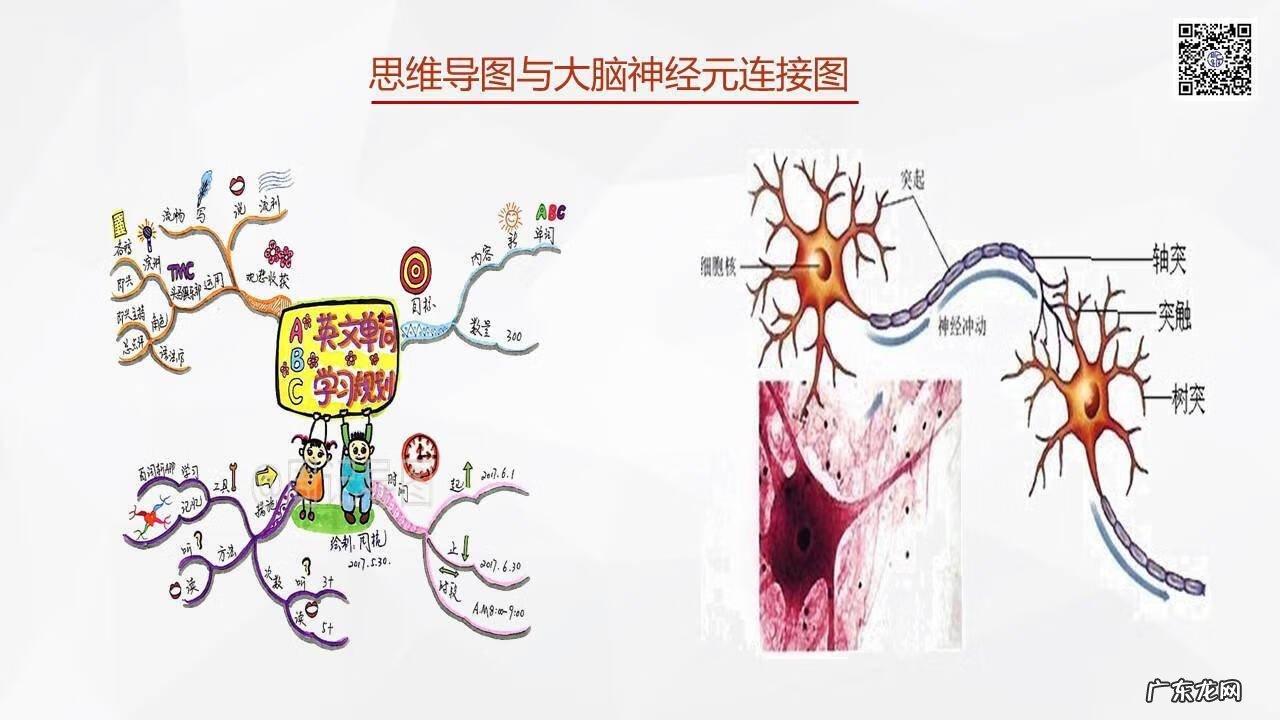 小学生思维导图怎么画 数学思维导图怎么画简单又漂亮