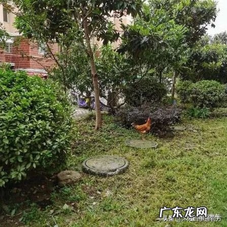 沭阳最高档的小区是哪个 沭阳比较好的小区