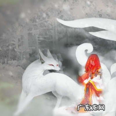 狐仙一般找什么人上身转世的女孩命好吗 九尾狐仙一般找什么人上身