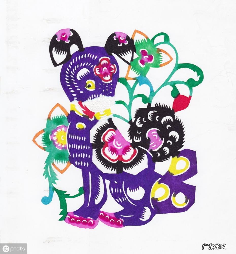 卯代表什么生肖什么动物 乙卯对应的是什么生肖