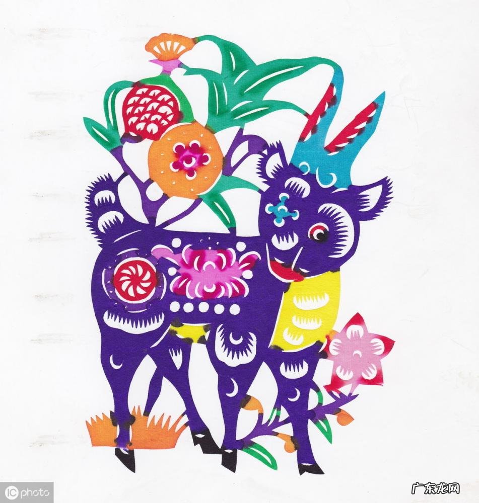 卯代表什么生肖什么动物 乙卯对应的是什么生肖