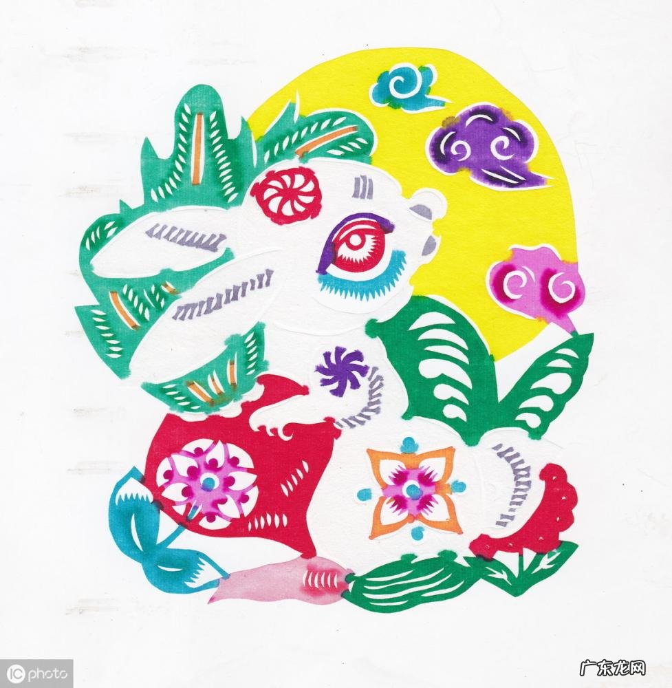 卯代表什么生肖什么动物 乙卯对应的是什么生肖