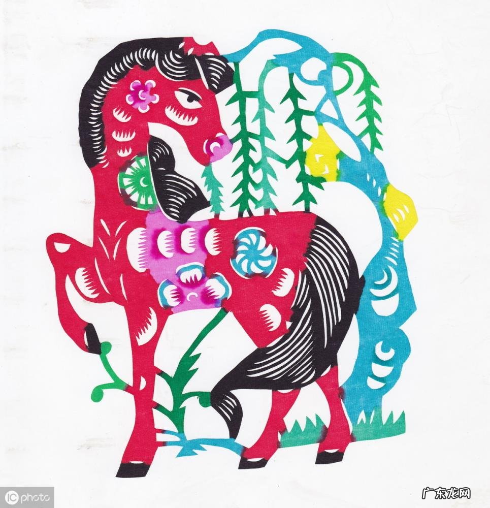 卯代表什么生肖什么动物 乙卯对应的是什么生肖