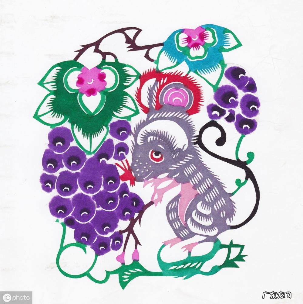 卯代表什么生肖什么动物 乙卯对应的是什么生肖